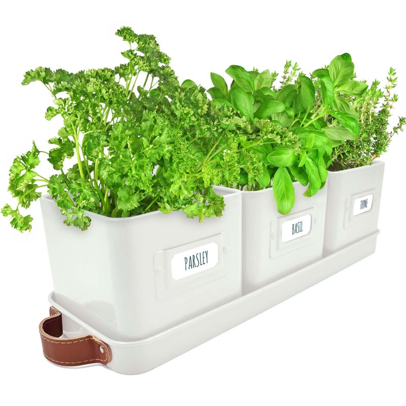 volila Herb Planter Indoor - Set of 3 Warmstone Indoor Herb Garden Pots for Plants with Leather Handled Tray - Window Sill Plant Shelf - Herb Pots with Drainage Holes and Labels - Image 1